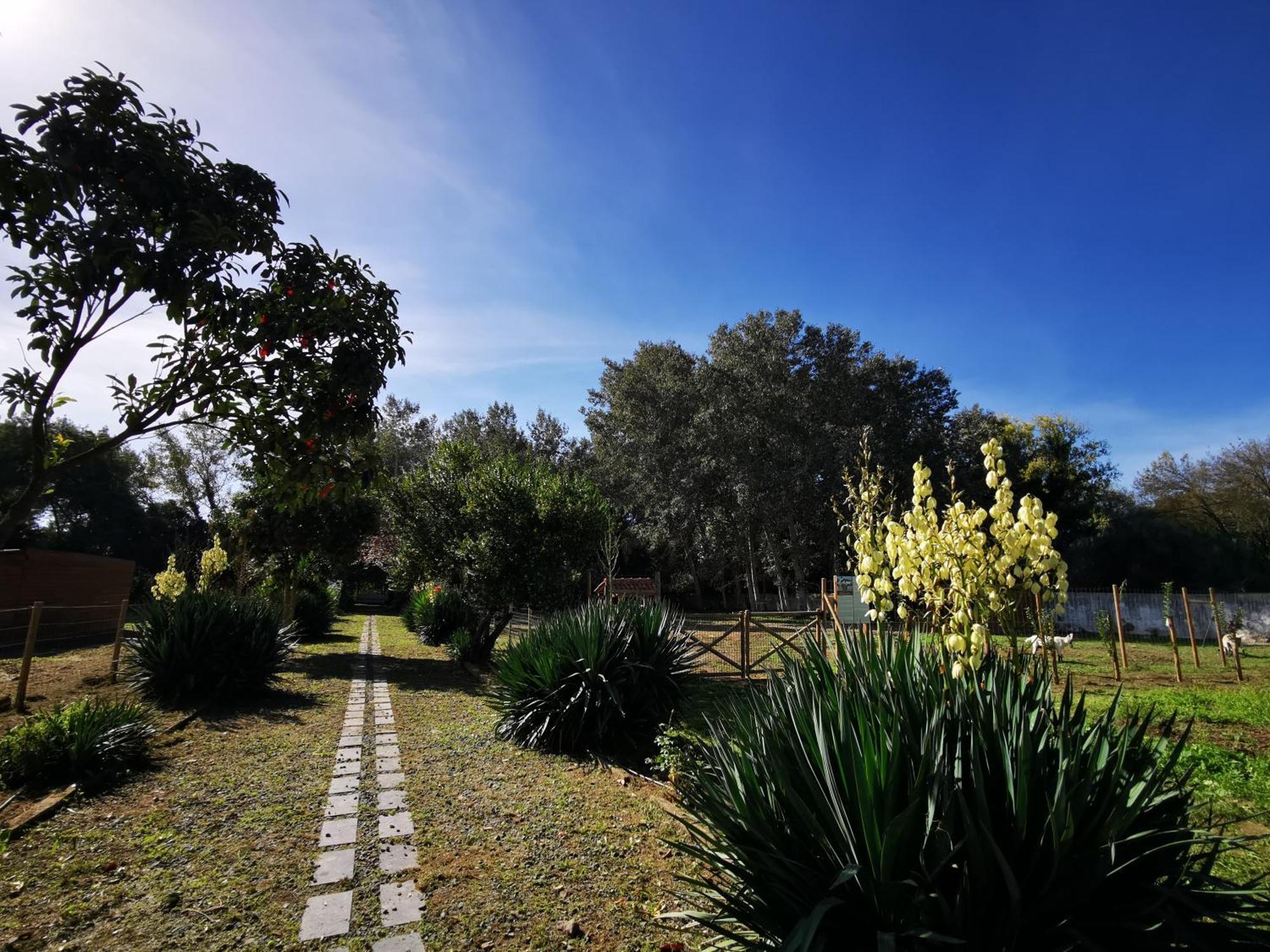 Quinta Do Louredo - Evora Villa ภายนอก รูปภาพ